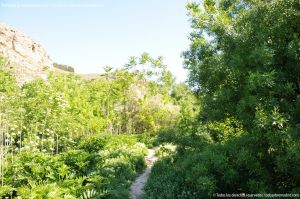 Foto Rutas Parque Regional del Sureste 1