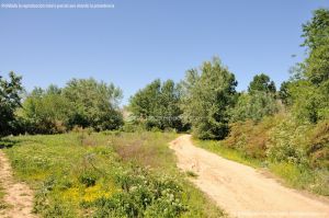 Foto Rutas Parque Regional del Sureste 3