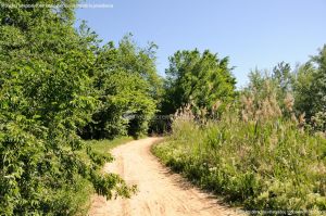 Foto Rutas Parque Regional del Sureste 4