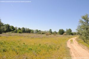 Foto Rutas Parque Regional del Sureste 5