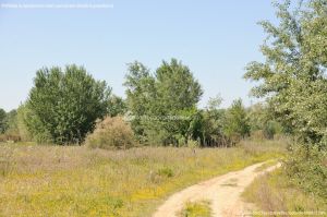 Foto Rutas Parque Regional del Sureste 6