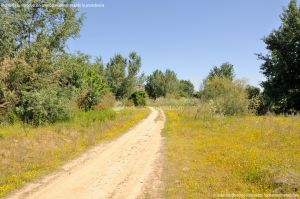 Foto Rutas Parque Regional del Sureste 7