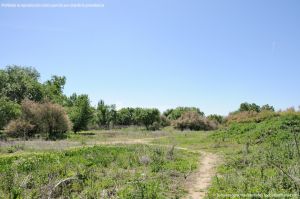 Foto Rutas Parque Regional del Sureste 9