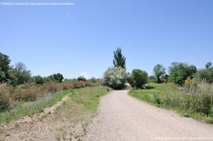 Foto Rutas Parque Regional del Sureste 11