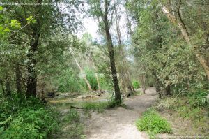 Foto Senda por el Área Recreativa de El Sotillo 12