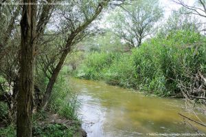 Foto Río Guadarrama en Villaviciosa de Odón 3