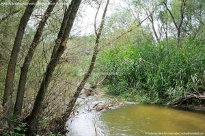 Foto Río Guadarrama en Villaviciosa de Odón 10