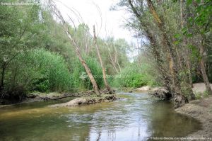 Foto Río Guadarrama en Villaviciosa de Odón 11