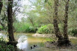 Foto Río Guadarrama en Villaviciosa de Odón 12