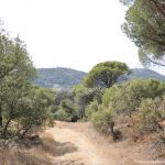 Foto Camino de Acceso a Lancha del Yelmo 32
