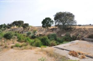 Foto Río Perales en Villamantilla 7