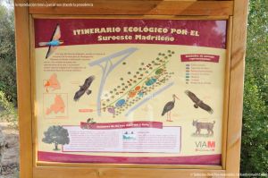 Foto Itinerario ecológico por el Suroeste Madrileño 2