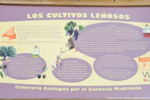 Foto Itinerario ecológico por el Suroeste Madrileño 5