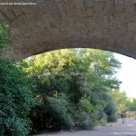 Foto Puente Nuevo de Talamanca 7