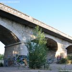 Foto Puente Nuevo de Talamanca 10