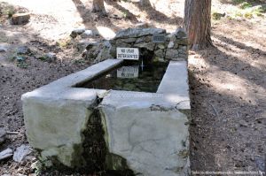 Foto Fuente Abrevadero en Área Peña Alta 1