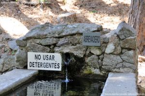 Foto Fuente Abrevadero en Área Peña Alta 2