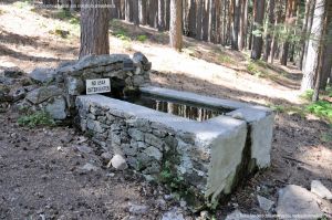 Foto Fuente Abrevadero en Área Peña Alta 3