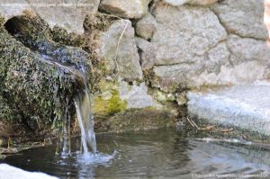 Foto Fuente Abrevadero en Área Peña Alta 4