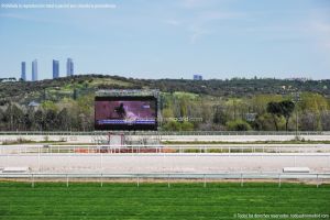 Foto Hipódromo de La Zarzuela 11