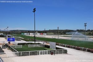 Foto Hipódromo de La Zarzuela 12