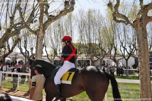 Foto Hipódromo de La Zarzuela 13