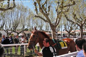 Foto Hipódromo de La Zarzuela 14