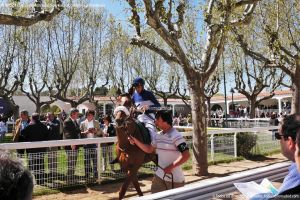 Foto Hipódromo de La Zarzuela 15