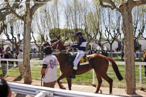 Foto Hipódromo de La Zarzuela 16