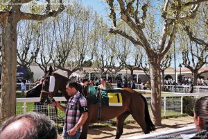 Foto Hipódromo de La Zarzuela 17