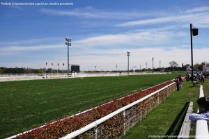 Foto Hipódromo de La Zarzuela 31