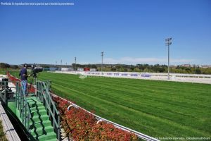 Foto Hipódromo de La Zarzuela 32