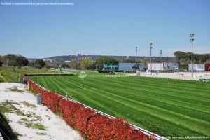 Foto Hipódromo de La Zarzuela 33