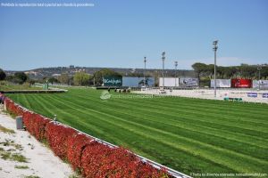 Foto Hipódromo de La Zarzuela 34