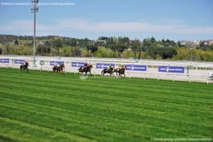 Foto Hipódromo de La Zarzuela 35