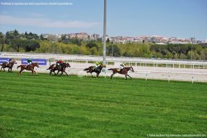 Foto Hipódromo de La Zarzuela 36