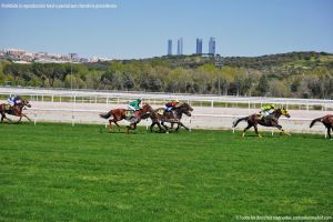 Foto Hipódromo de La Zarzuela 37