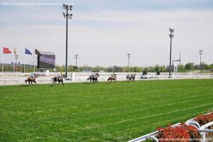 Foto Hipódromo de La Zarzuela 38