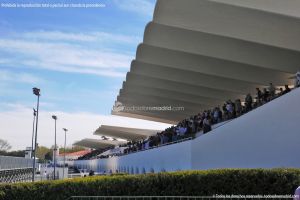 Foto Hipódromo de La Zarzuela 40