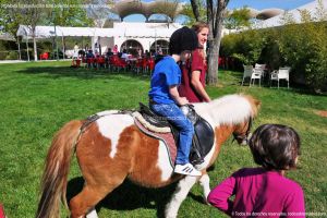 Foto Hipódromo de La Zarzuela 41