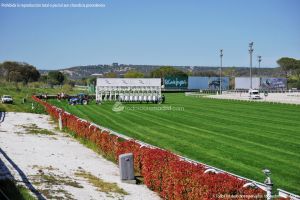 Foto Hipódromo de La Zarzuela 46