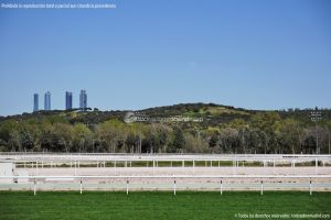 Foto Hipódromo de La Zarzuela 48