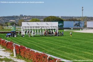 Foto Hipódromo de La Zarzuela 49