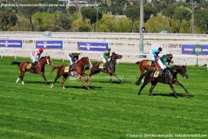 Foto Hipódromo de La Zarzuela 50