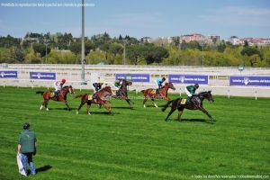 Foto Hipódromo de La Zarzuela 51