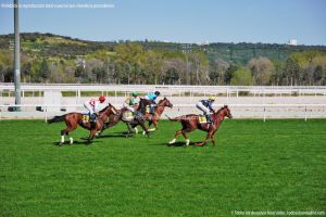 Foto Hipódromo de La Zarzuela 52