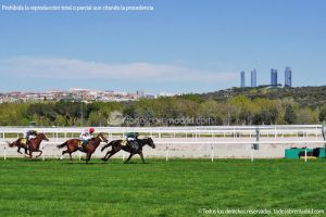 Foto Hipódromo de La Zarzuela 53