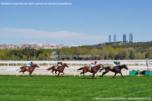 Foto Hipódromo de La Zarzuela 54