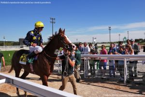 Foto Hipódromo de La Zarzuela 55