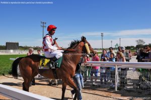 Foto Hipódromo de La Zarzuela 56